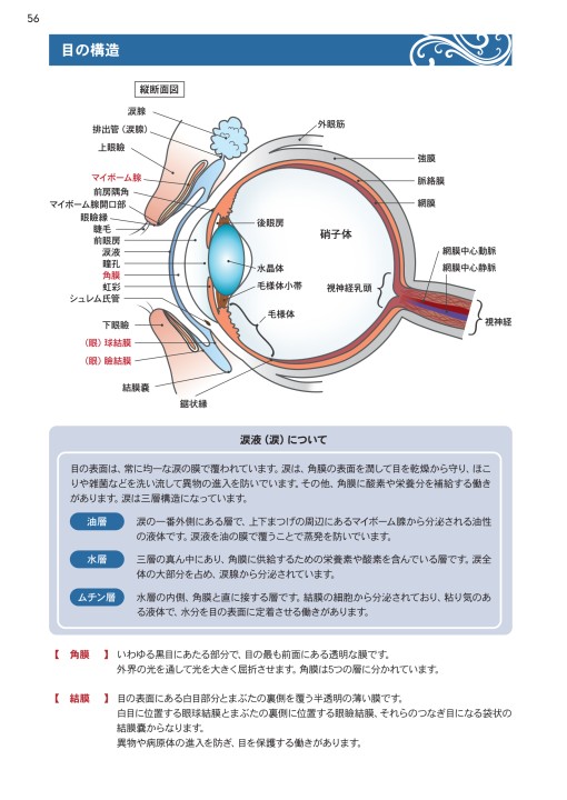 まつげエクステ技術者養成基礎講座 Ver 7 0